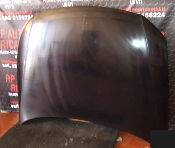 Cofano Anteriore VOLKSWAGEN Passat Serie (A32,A33) (11>)