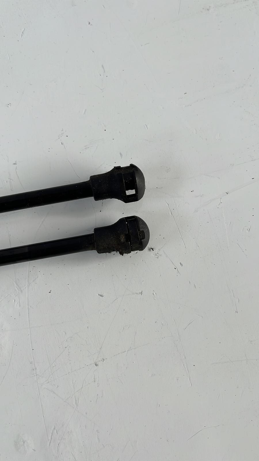 Pistoncini cofano Post. CITROEN C3 Serie (09>15)
