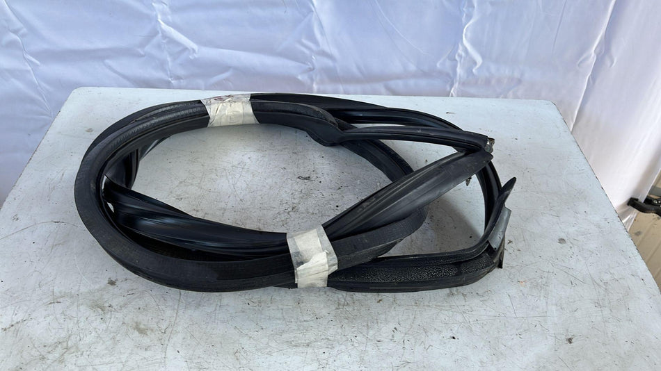 Guarnizione Portiera Anteriore Destra AUDI TT Serie (8N3) (98>06)