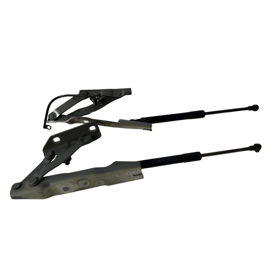 Cerniere cofano anteriore dx e sx BMW Serie 5 E61 Touring