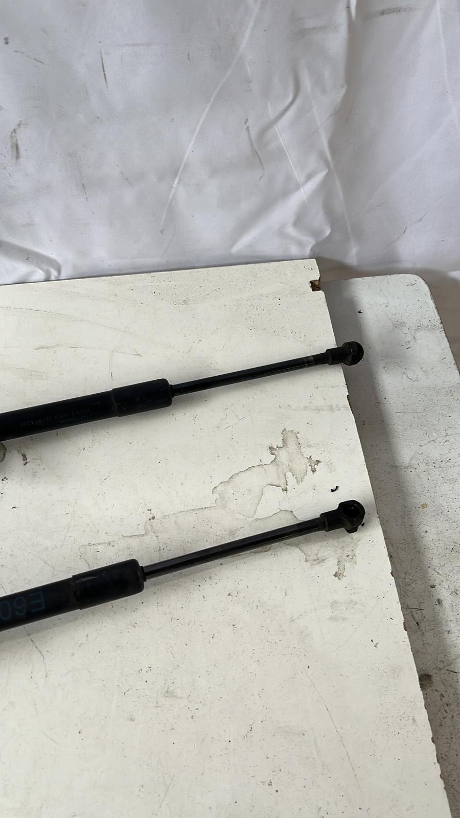 Cerniere cofano anteriore dx e sx BMW Serie 5 E61 Touring