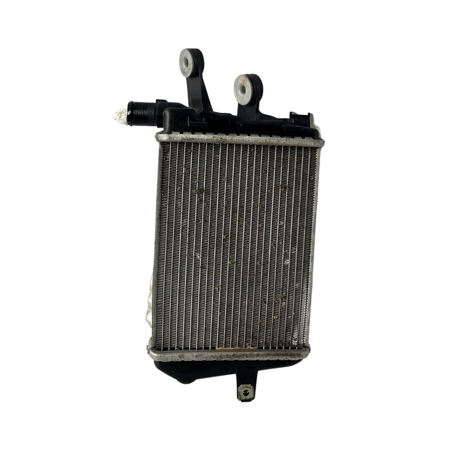 Radiatore acqua BMW R 1200cc GS (17>18)
