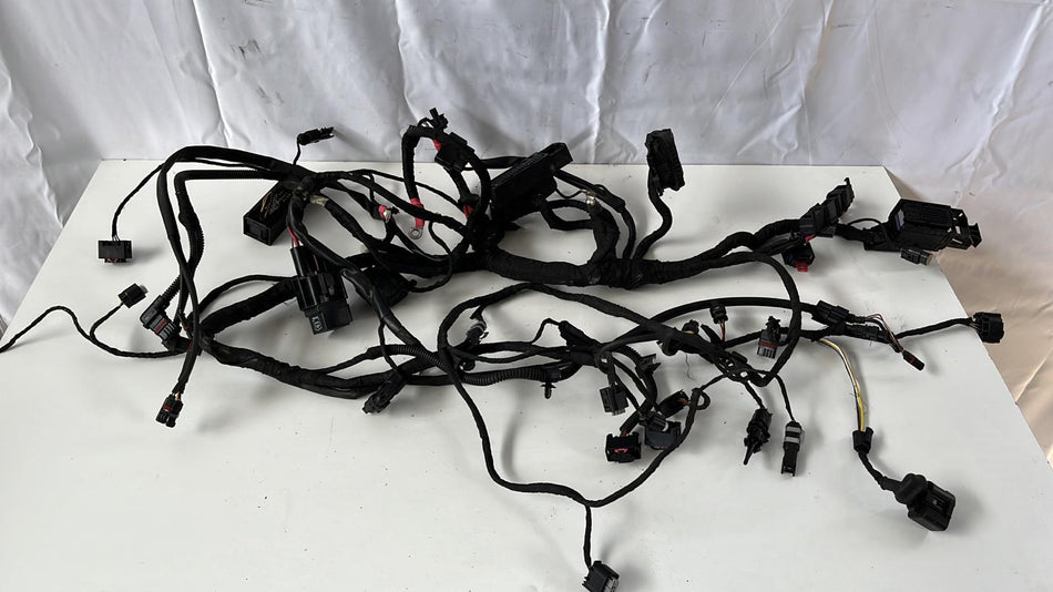 Cablaggio elettrico motore BMW R 1200cc GS (17>18)