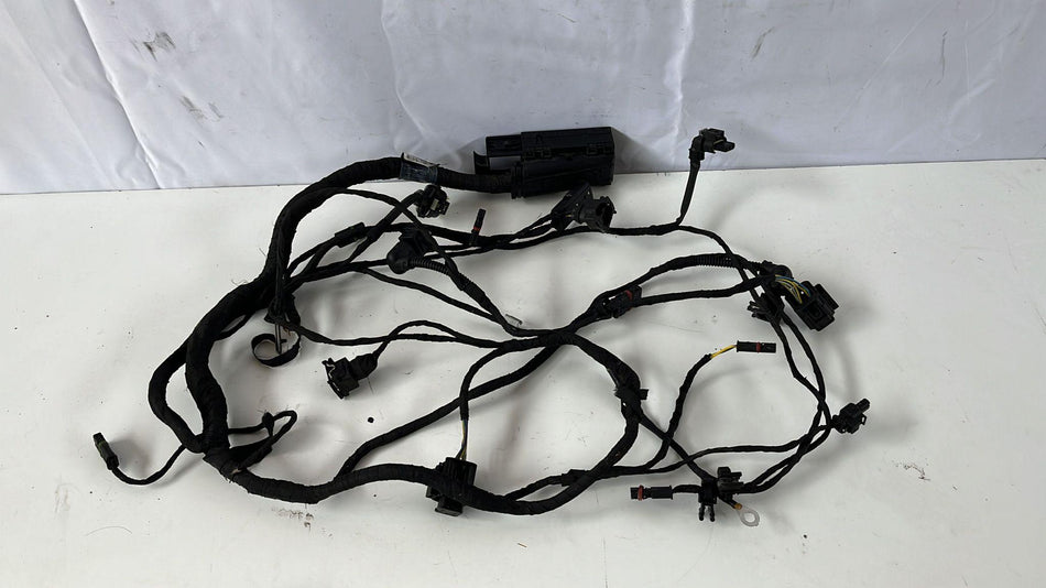 Cablaggio elettrico motore BMW R 1200cc GS (13>16)