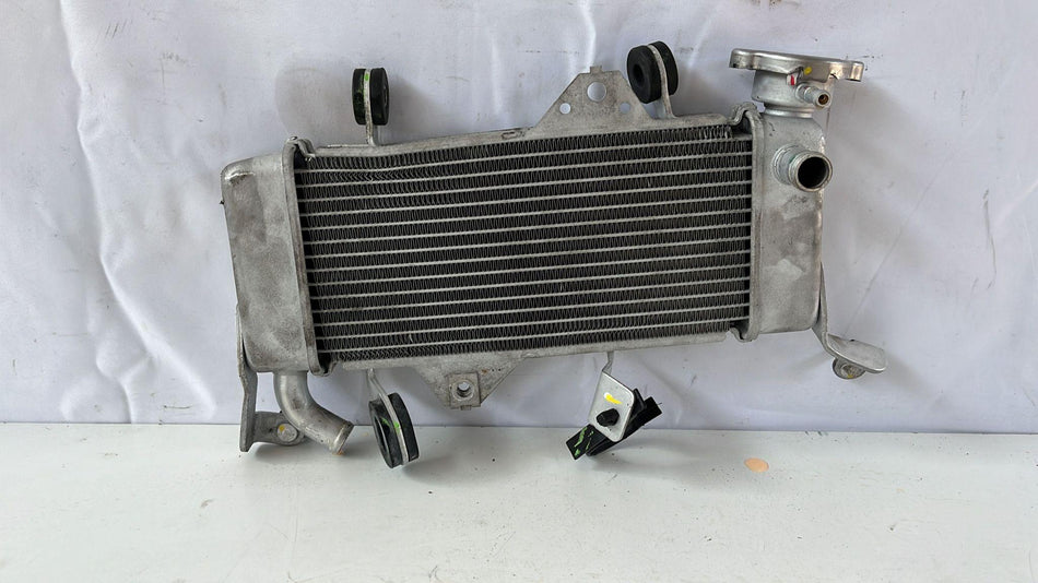Radiatore acqua Yamaha MT 125cc (21>)