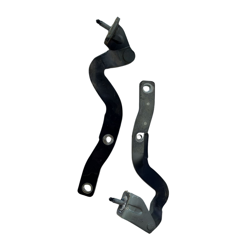 Coppia cerniere portellone posteriore DX AUDI TT Serie (8J3) (06>14)