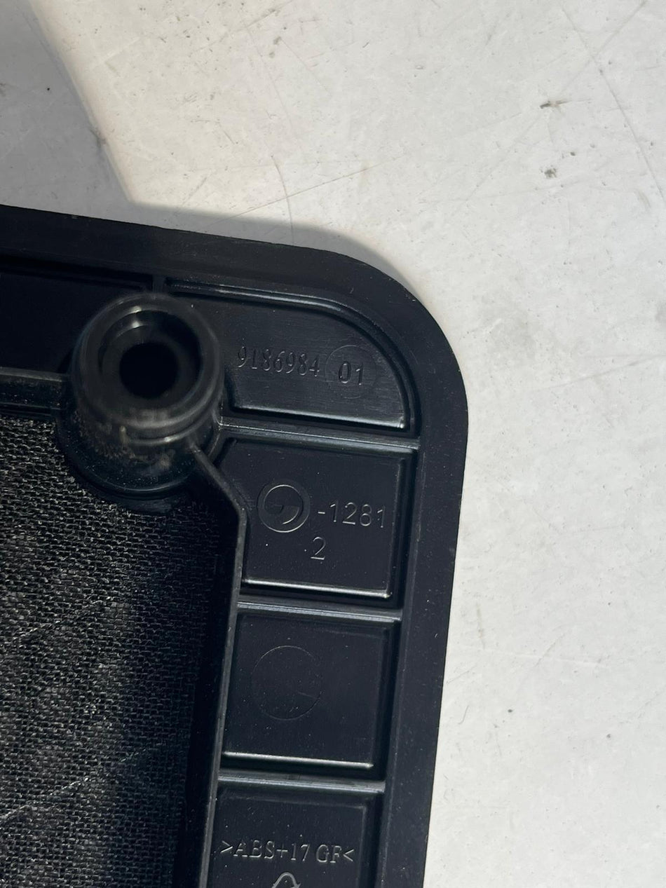 Cornice Altoparlante BMW X3 2° Serie