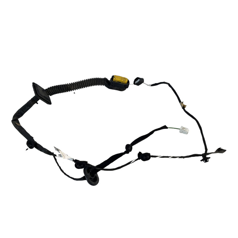 Cablaggio Porta Post SX RENAULT Clio Serie (08>15)
