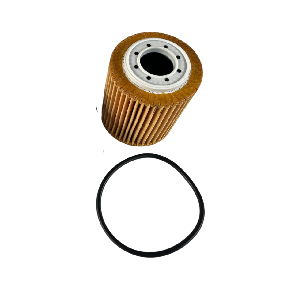 Filtro olio CITROEN C3 Serie (09>15)
