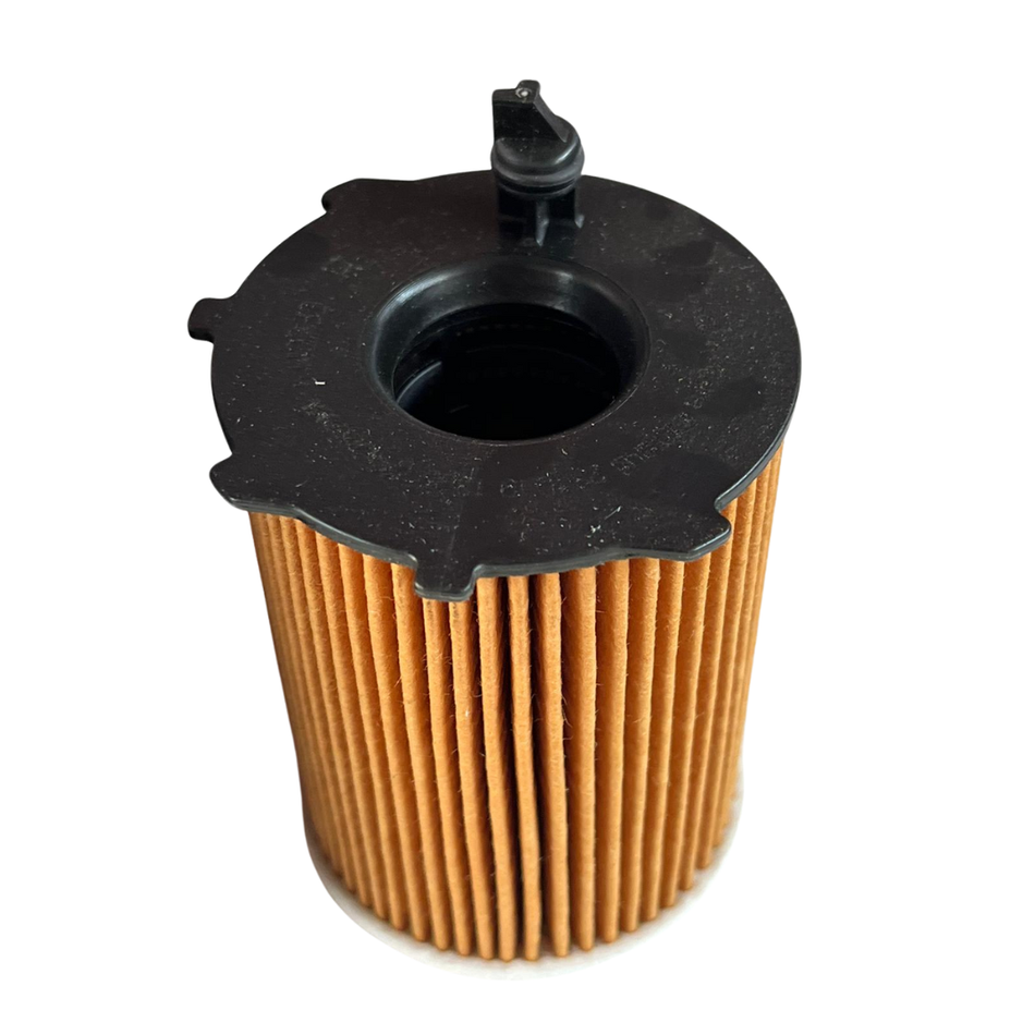 Filtro olio CITROEN C3 Serie (09>15)