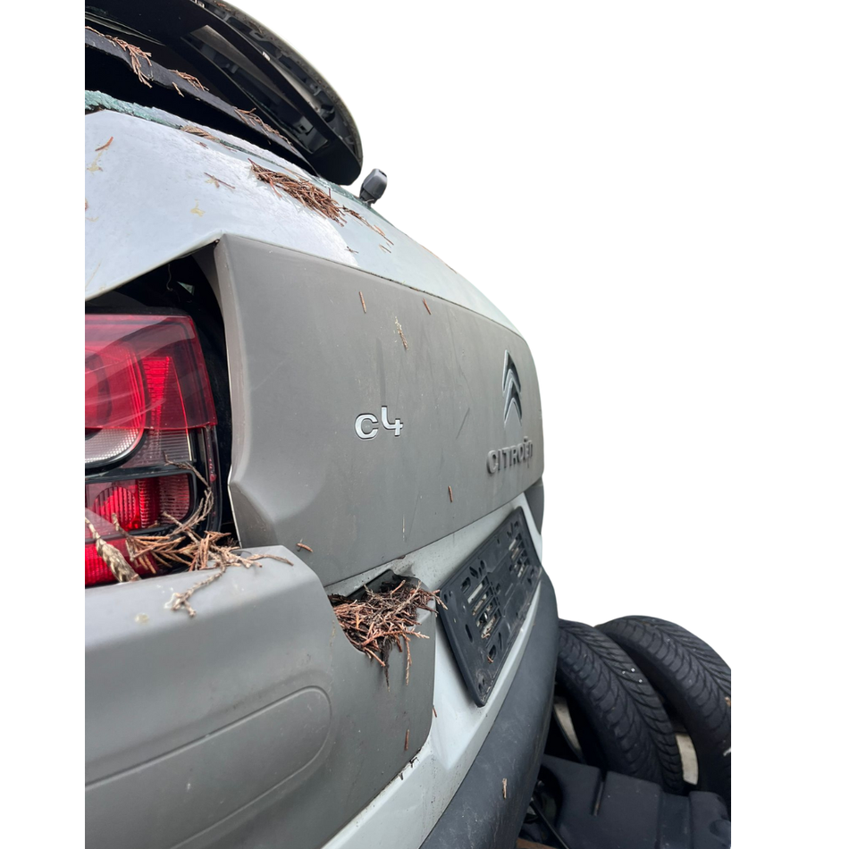 Ricambi usati auto CITROEN C4 Cactus