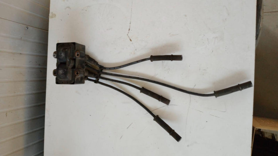 Bobine accensione RENAULT Clio Serie (08>15)