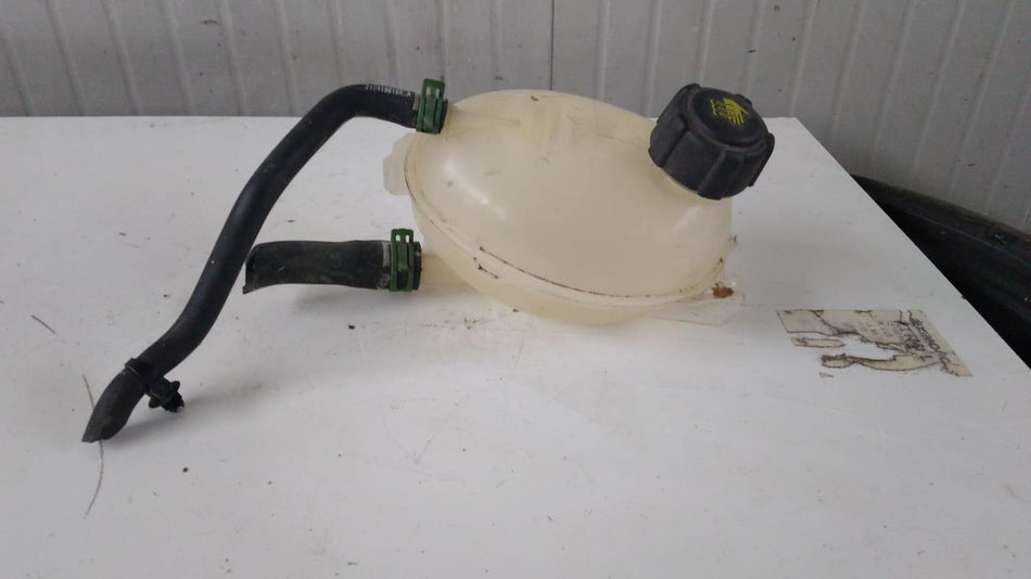 Vaschetta liquido radiatore RENAULT Clio Serie (08>15)