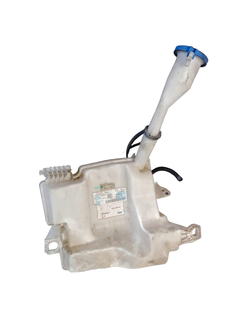 Vaschetta Tergi ant FORD Focus Berlina 5° Serie