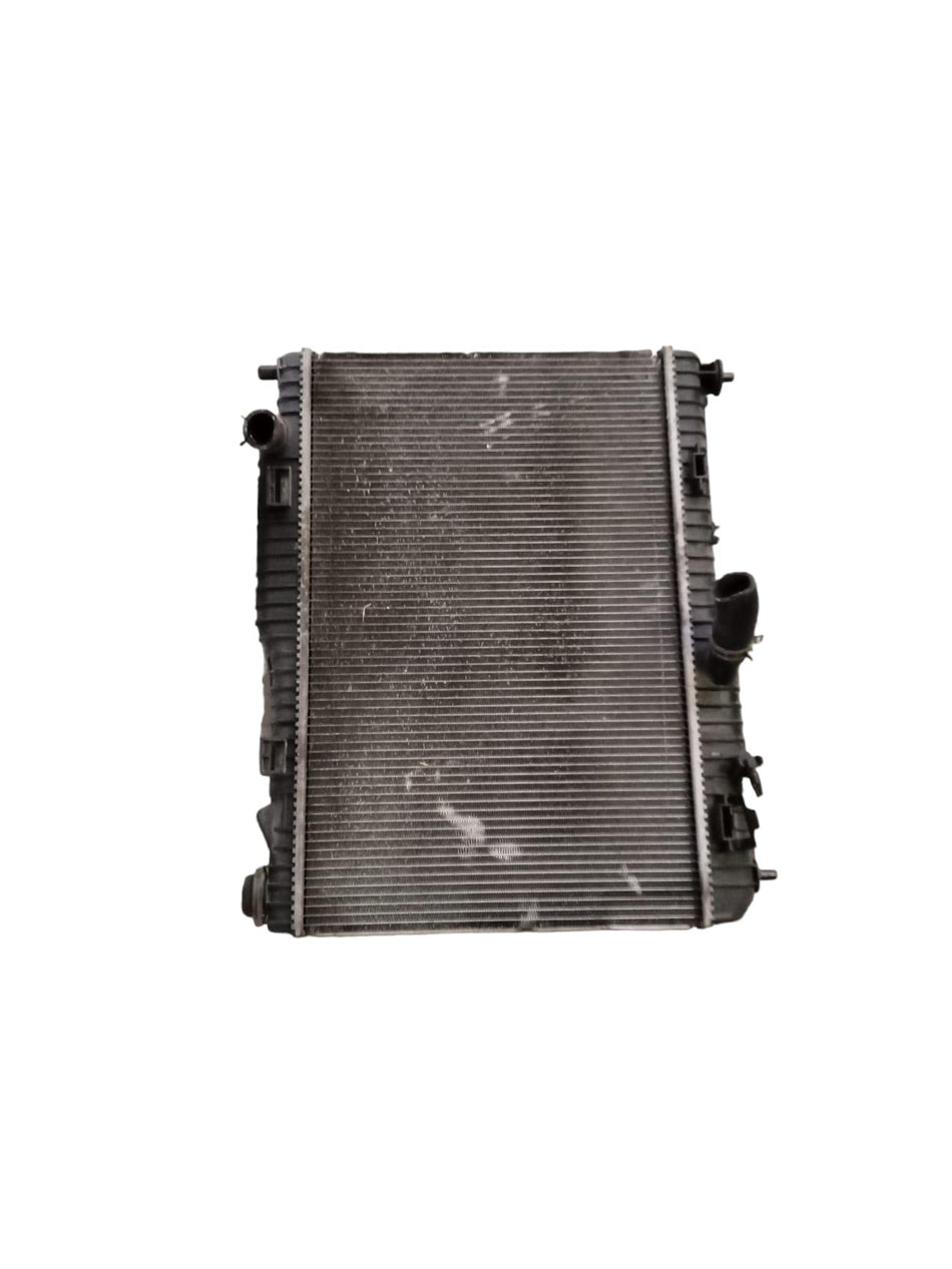 Radiatore acqua FORD Fiesta 6° Serie