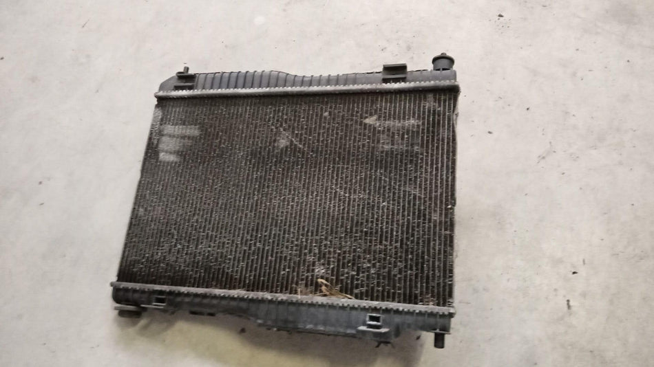 Radiatore acqua FORD Fiesta 6° Serie