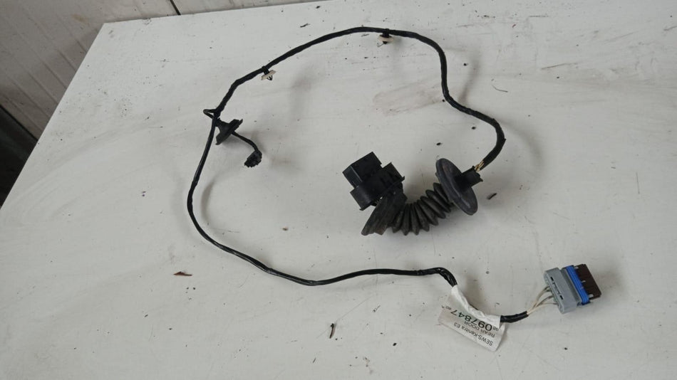 Cablaggio Porta Post SX CITROEN C4 Cactus