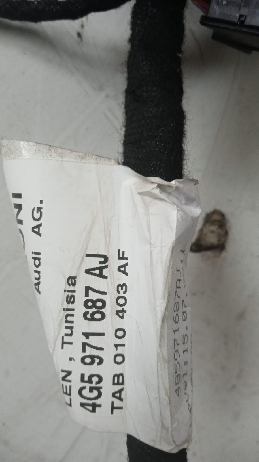 Cablaggio Porta Post SX AUDI A6 Allroad Serie (4GJ) (14>)