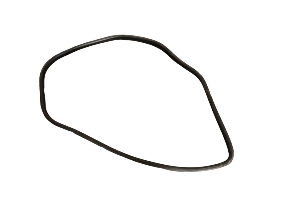 Guarnizione Portiera Posteriore Destra LAND ROVER Range Rover Evoque 1° Serie