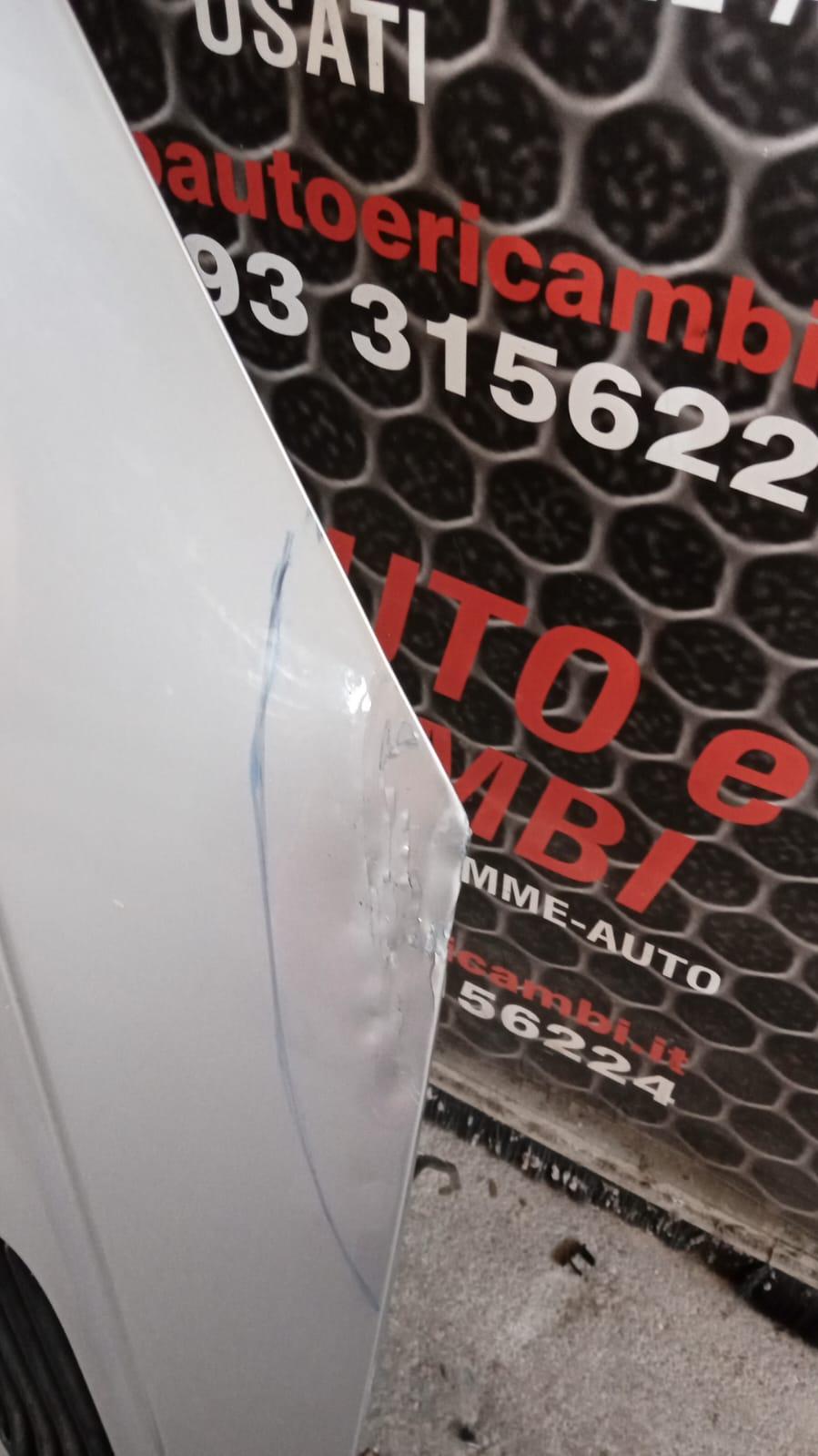 Cofano Anteriore PEUGEOT 206 Cabrio 2° Serie