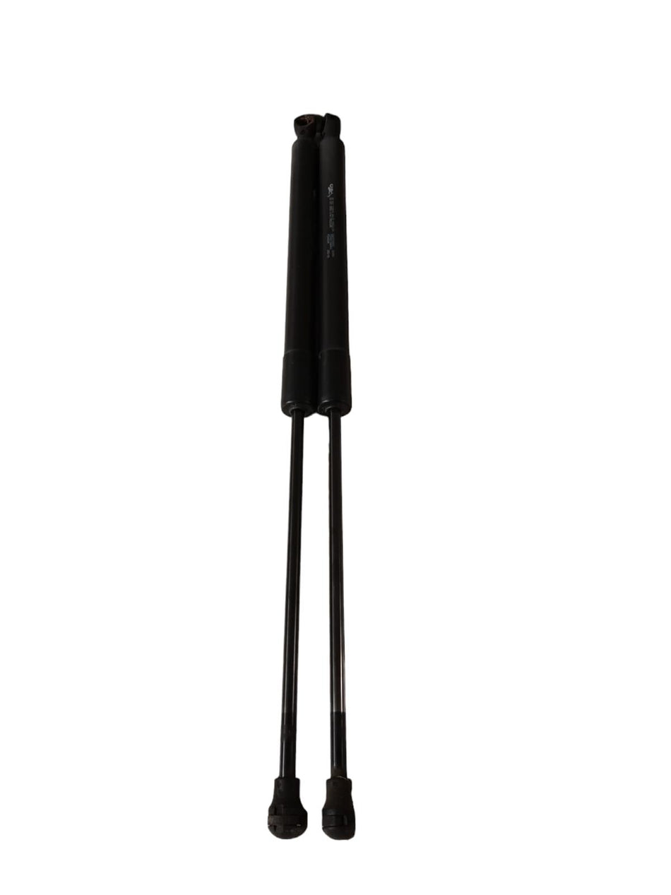 Pistoncini cofano Post. CITROEN C3 Serie (09>15)