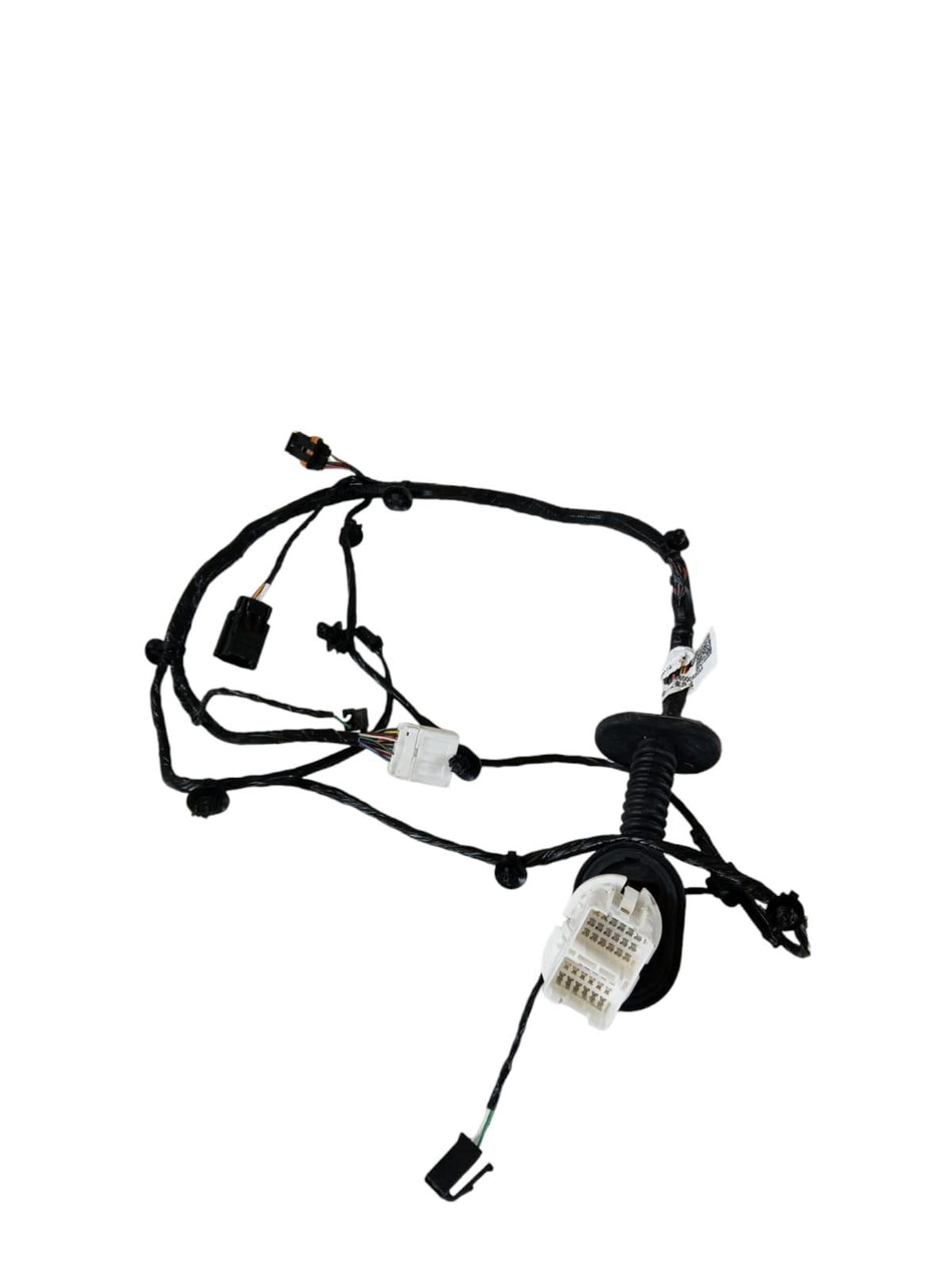 Cablaggio porta posteriore destra DR 4.0 Serie (21>)