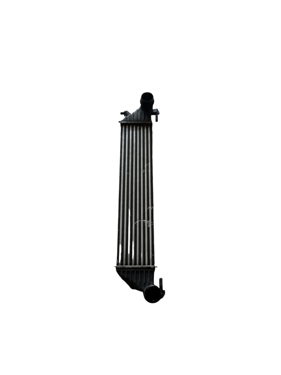 Intercooler FIAT 500 L Serie (351_352) (12>)