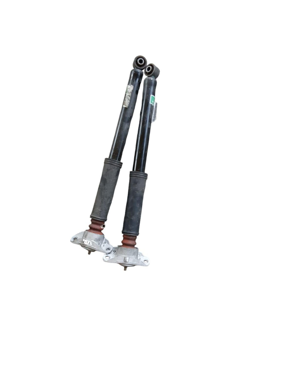 Coppia Ammortizzatori DR 4.0 Serie (21>)