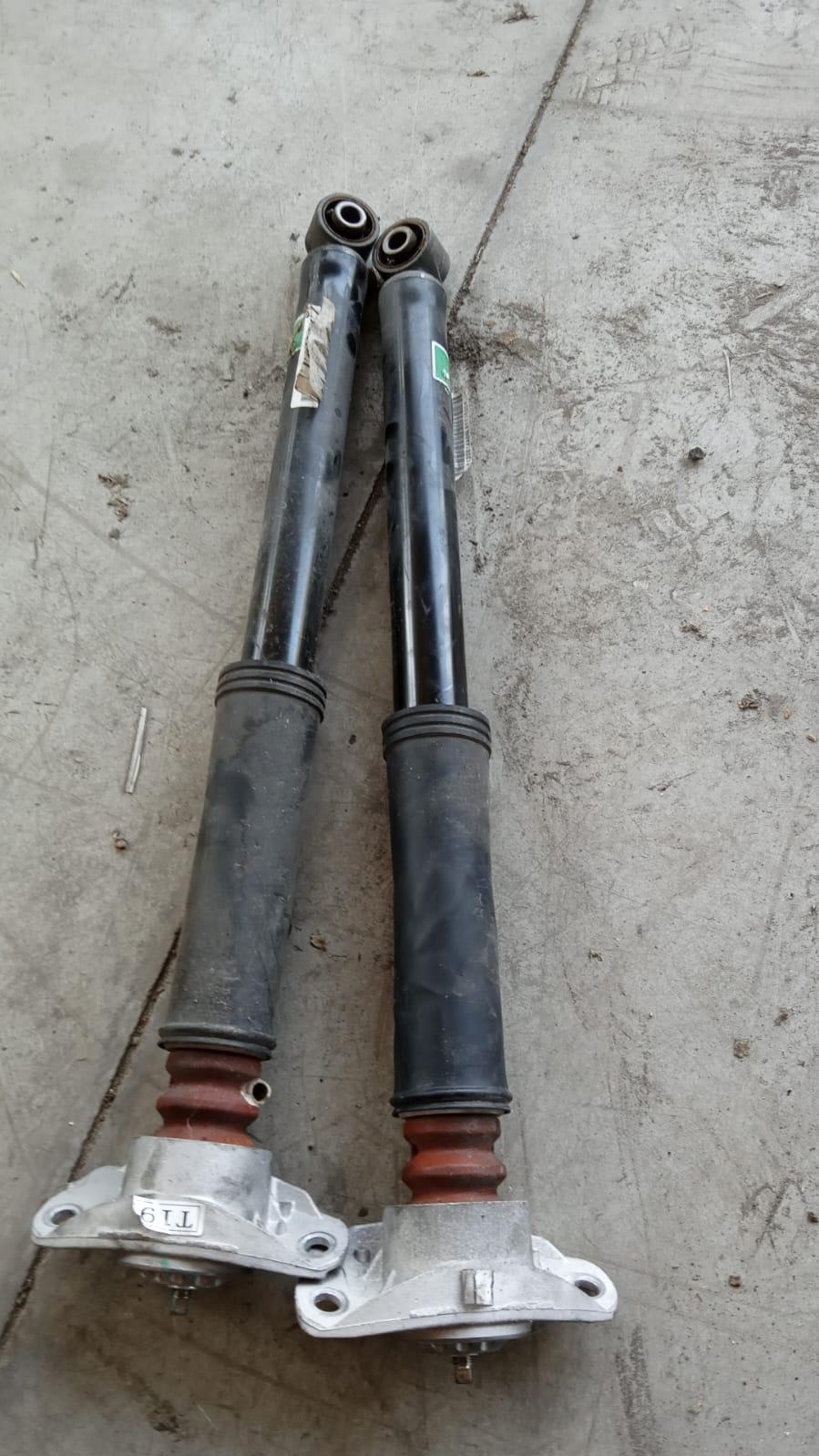 Coppia Ammortizzatori DR 4.0 Serie (21>)