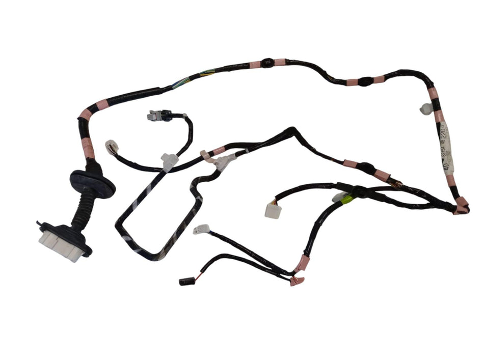 Cablaggio Porta Post SX LEXUS RX Serie (L2) (15>)
