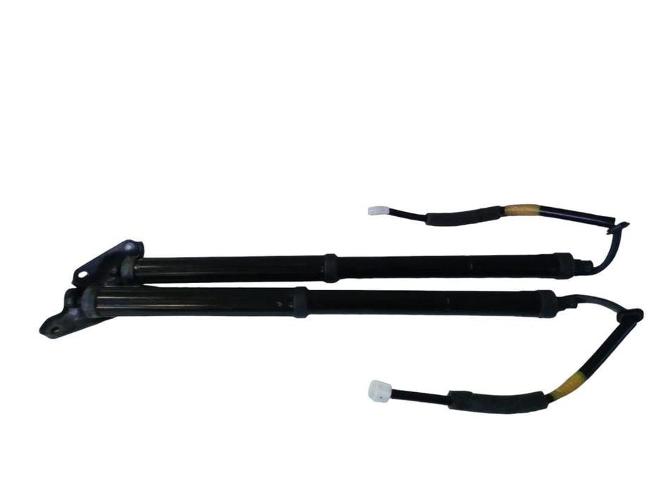 Coppia pistoncini elettrici cofano posteriore LEXUS RX Serie (L2) (15>)