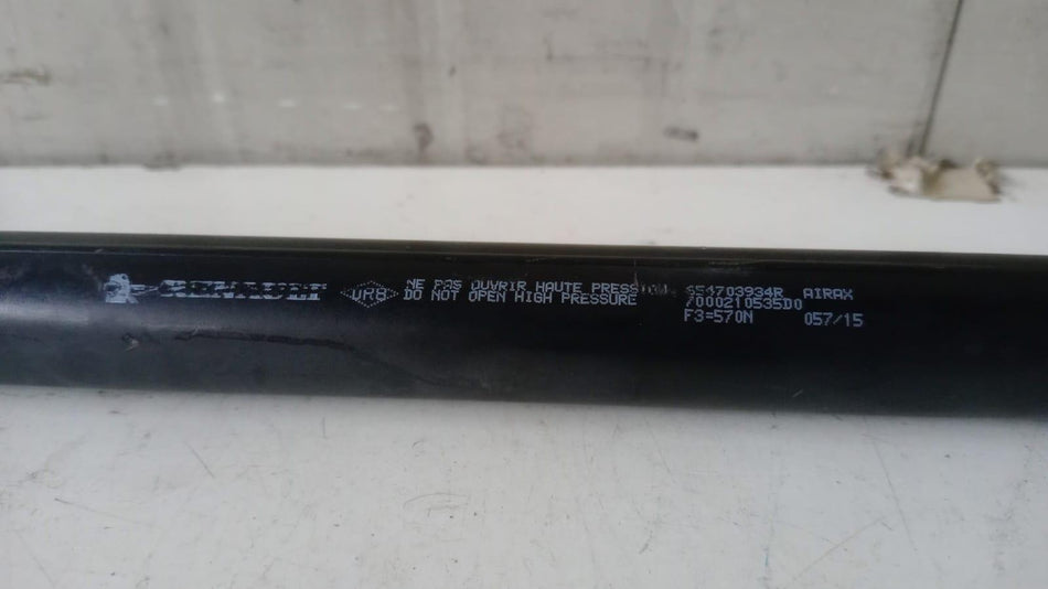 Pistoncini cofano ant RENAULT Clio Serie IV (12>19)