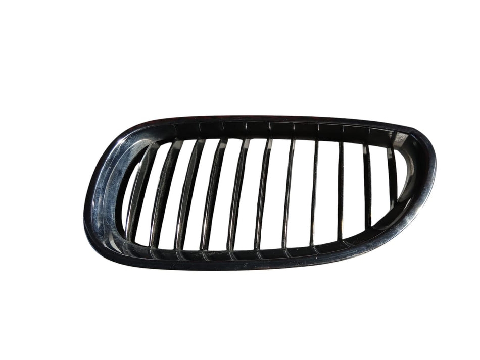 Griglia Paraurti BMW Serie 5 E60