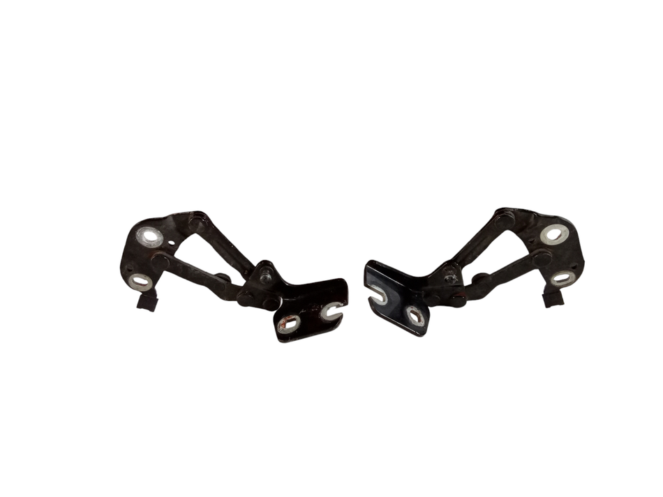 Cerniere baule cofano posteriore dx sx AUDI A3 Cabriolet Serie (8P7) (08>13)