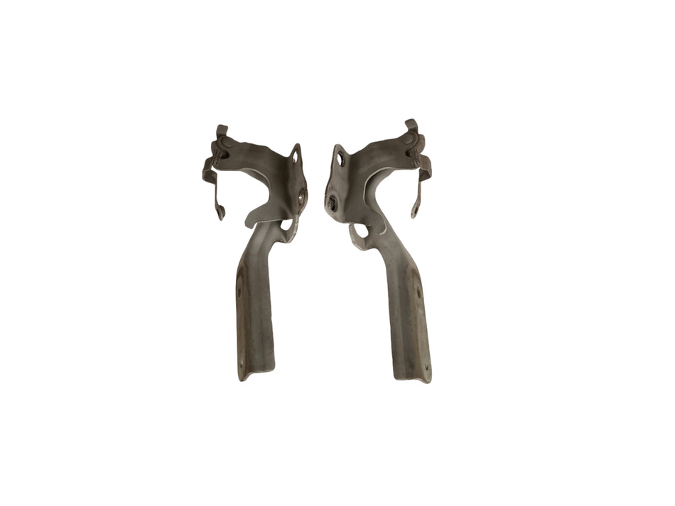 Cerniera cofano anteriore SX NISSAN Juke Serie F15