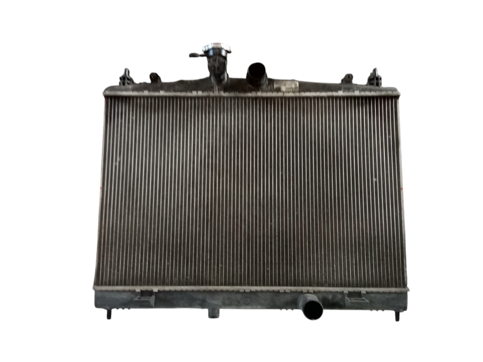 Radiatore acqua NISSAN Juke Serie F15