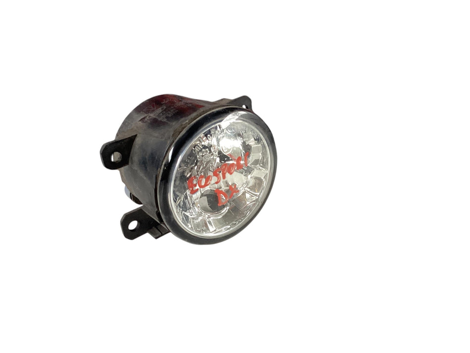 Fendinebbia Anteriore FORD EcoSport Serie (12>)