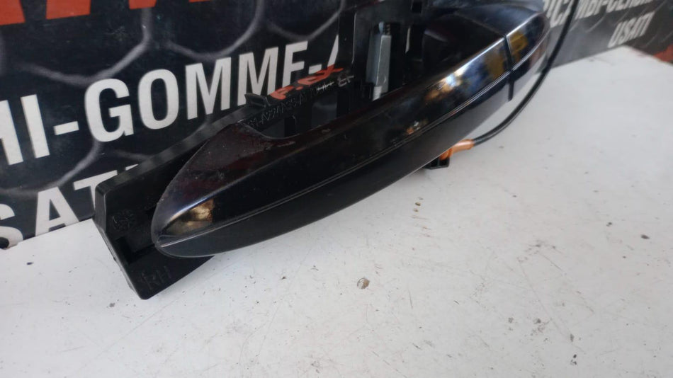 Maniglia esterna Posteriore Destra FORD EcoSport Serie (12>)