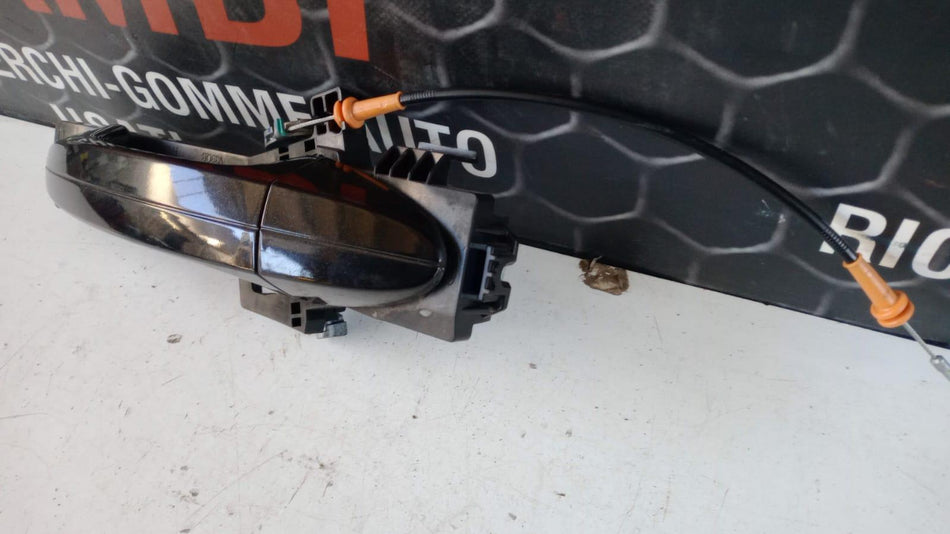 Maniglia esterna Posteriore Sinistra FORD EcoSport Serie (12>)