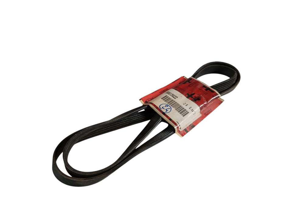 Cinghia Servizi ALFA ROMEO 145 Serie (930_) (99>01)