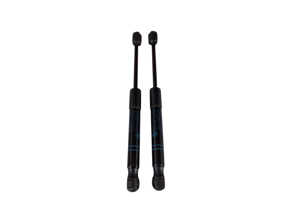 Pistoncini cofano ant BMW Serie 3 F31 Touring
