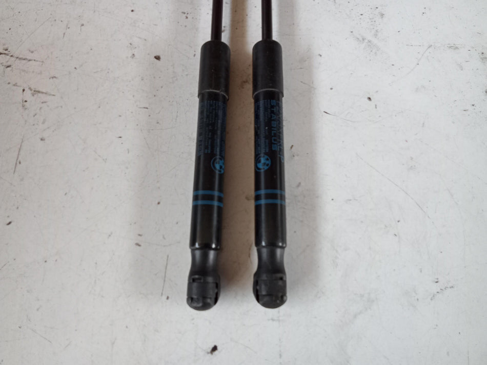 Pistoncini cofano ant BMW Serie 3 F31 Touring