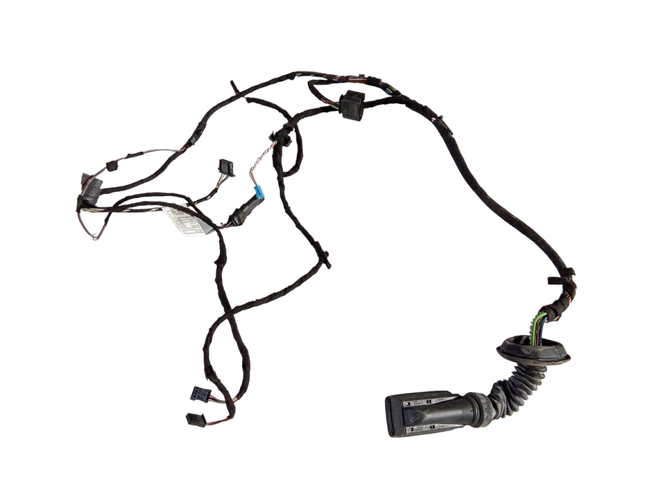 Cablaggio Porta Post SX BMW Serie 3 F31 Touring