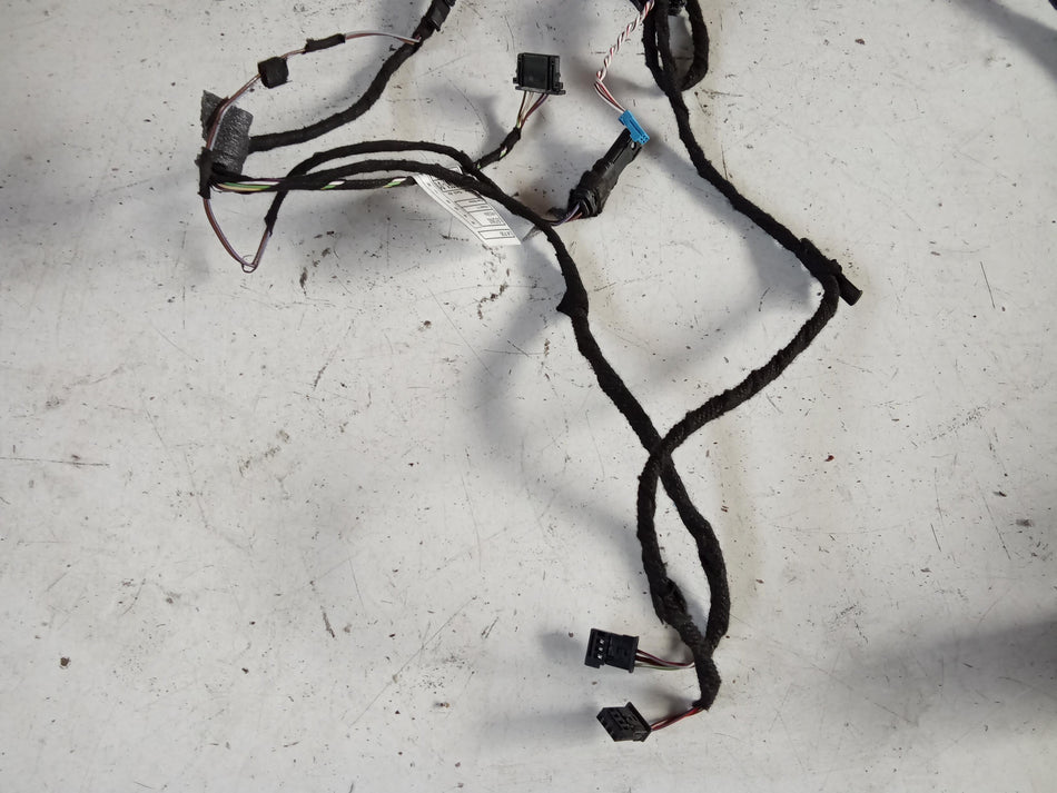 Cablaggio Porta Post SX BMW Serie 3 F31 Touring