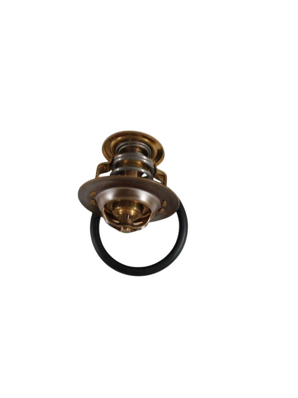 Termostato FORD Transit Serie (86>91)