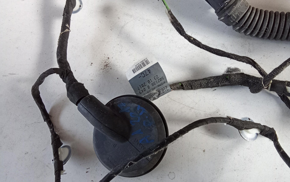 Cablaggio Porta Post SX AUDI A1 Serie (8XK) (14>18)