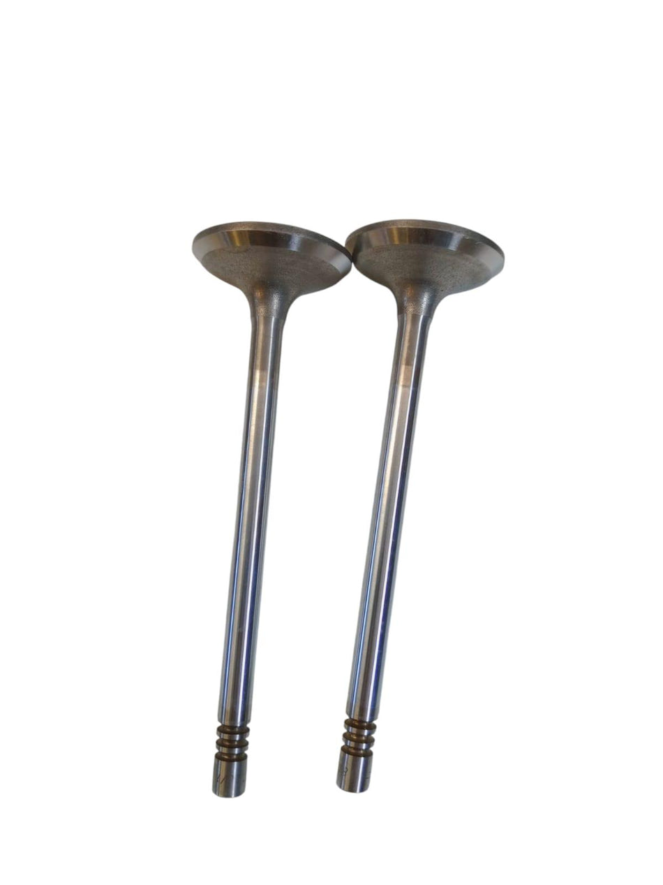 Valvole aspirazione BMW Serie 3 Berlina 4 Porte (E30) (82>94)