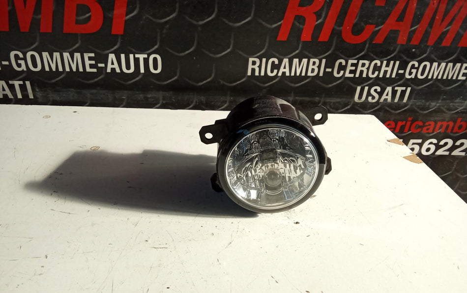 Fendinebbia Anteriore FORD EcoSport Serie (12>)