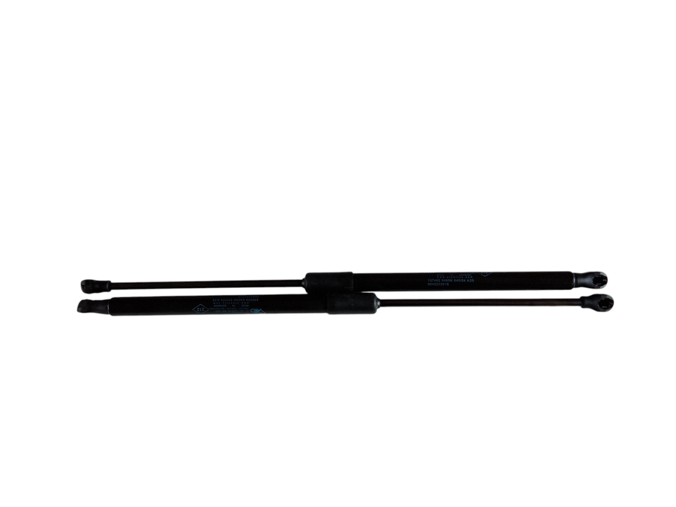 Pistoncini cofano Post. RENAULT Captur Serie (19>)