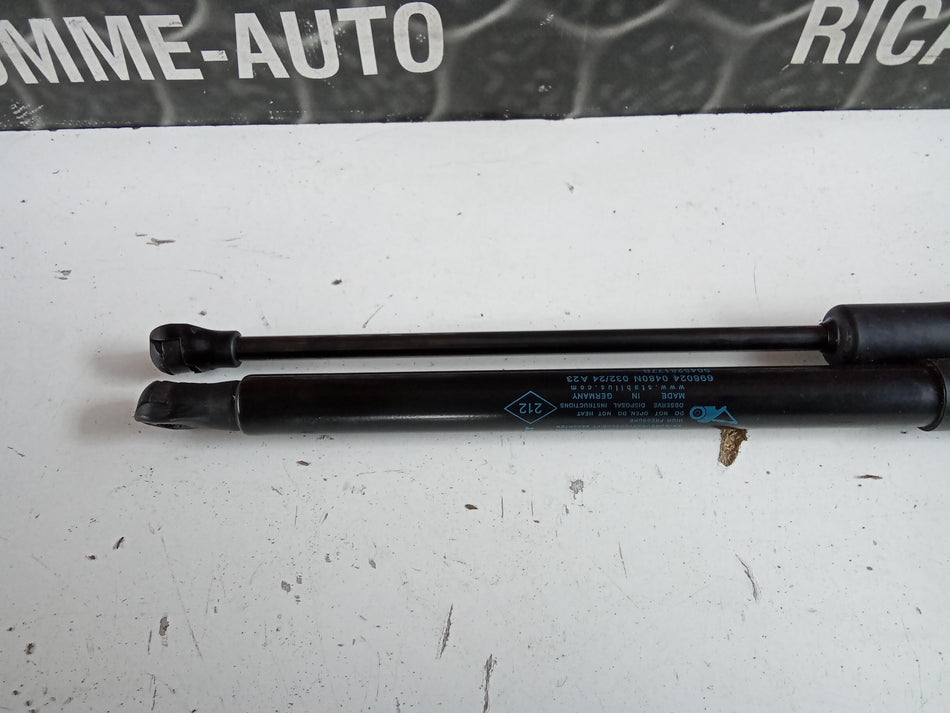 Pistoncini cofano Post. RENAULT Captur Serie (19>)